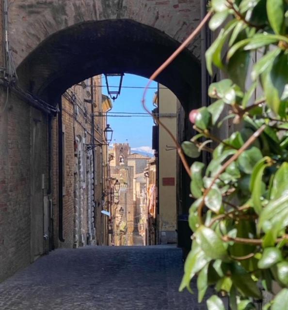 Apartament La Casa Del Gelsomino Acquaviva Picena Zewnętrze zdjęcie