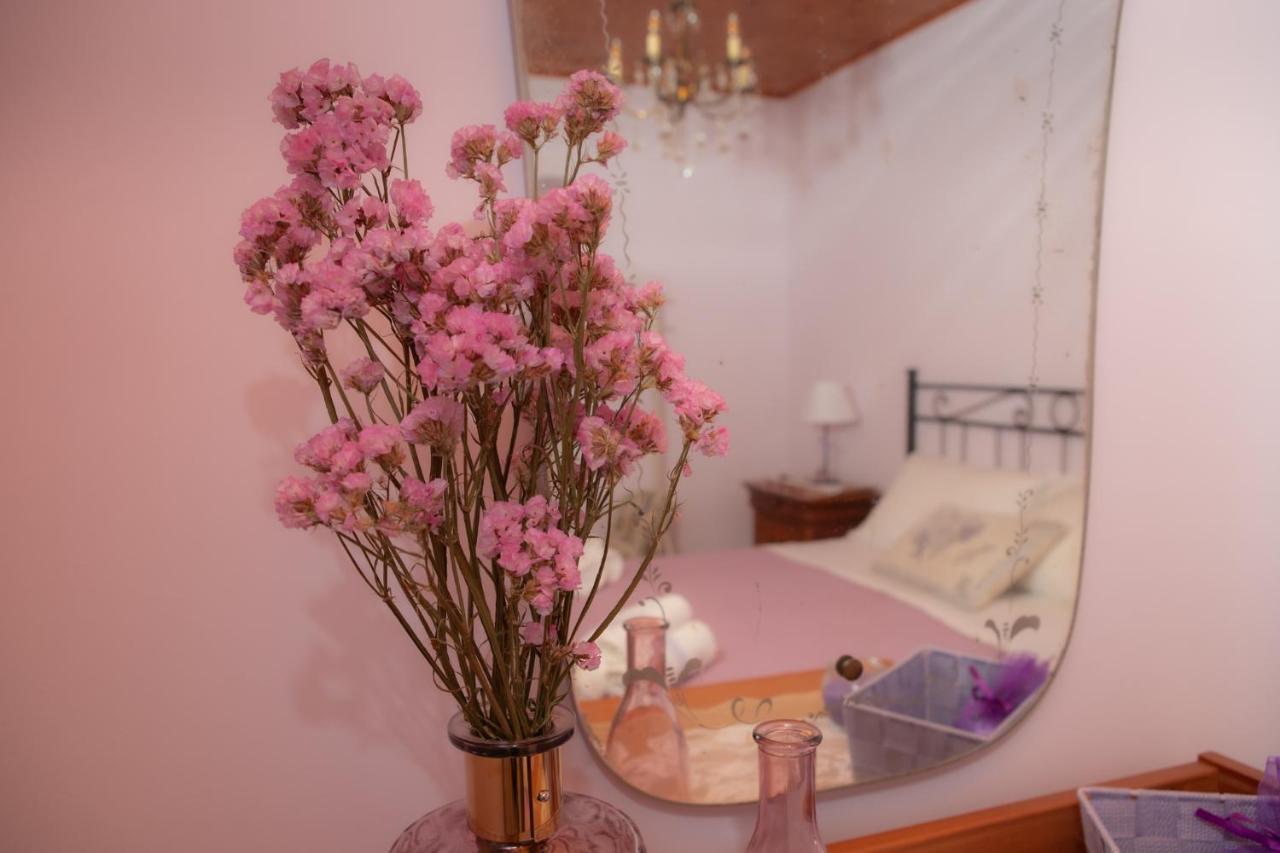 Apartament La Casa Del Gelsomino Acquaviva Picena Zewnętrze zdjęcie